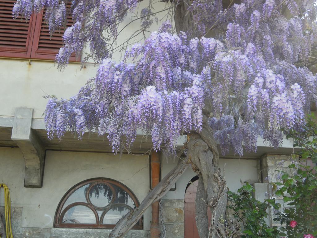 Holiday Home Bel Panorama Due Pelago الغرفة الصورة
